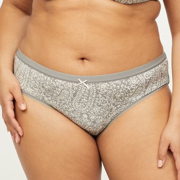 Lane Bryant Other - Lane Bryant No Show Hipster Panties Paisley 26/28